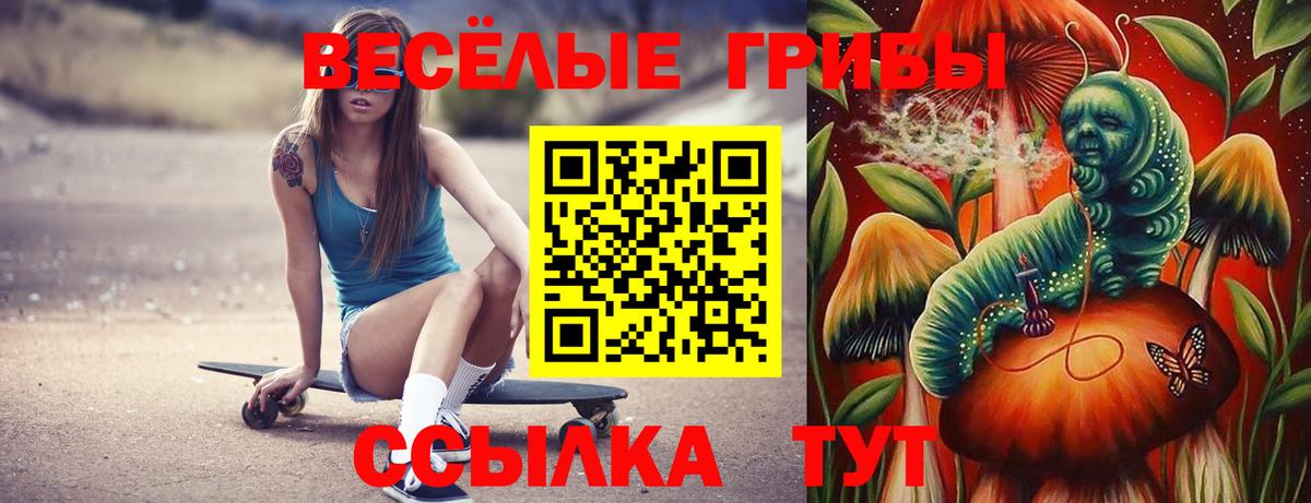 Ялуторовск  Псилоцибиновые грибы Psilocybine cubensis  Вход с VPN 